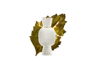 Bvlgari Allegra Magnifying Patchouli Eau De Parfum