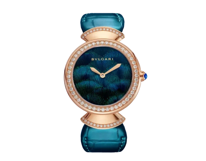 Divas’ Dream Watch Divas’ Dream Watch