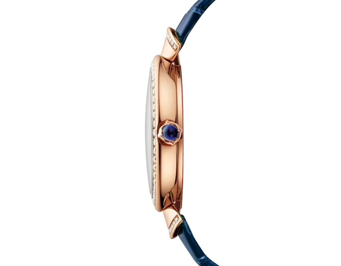 Divas’ Dream Watch Divas’ Dream Watch