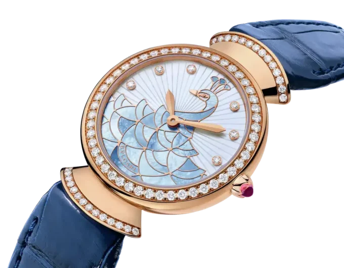 Divas’ Dream Watch Divas’ Dream Watch