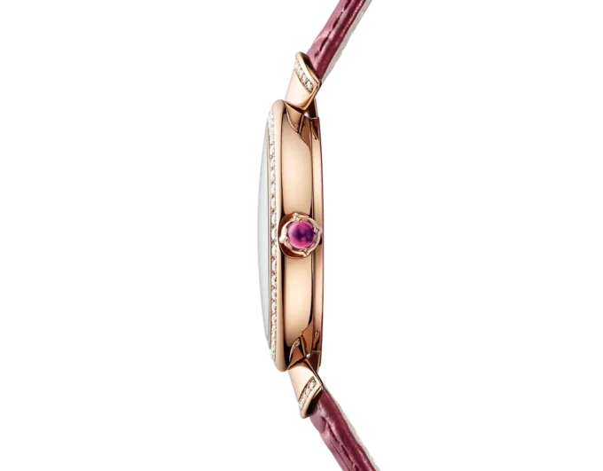 Divas’ Dream Watch Divas’ Dream Watch