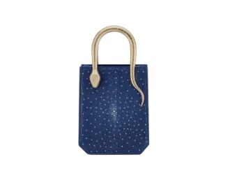 Serpentine Mini Tote