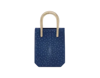 Serpentine Mini Tote